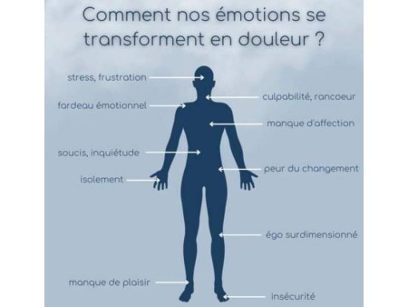 E-Book Gestion des émotions, guide pratique.